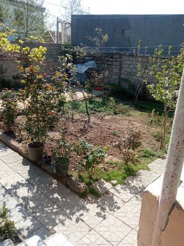 Otaqların uzunmüddətli kirayəsi: Satilir geniş və işıqlı otaq 2 otaq 1 zal metbex hamam ayaq yolu — 22