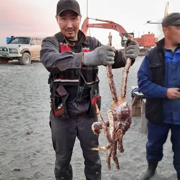 Электрики: Электрик | Установка стиральных машин, Демонтаж электроприборов, Монтаж видеонаблюдения Больше 6 лет опыта at lalafo.kg — 28 Электрики: Электрик | Установка стиральных машин, Демонтаж электроприборов, Монтаж видеонаблюдения Больше 6 лет опыта — 28