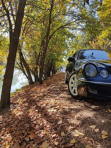 w210 рейка: Mercedes-Benz E-Class: 2002 г., 2.8 л, Автомат, Бензин, Седан — 3