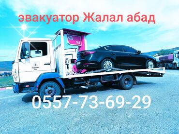 машинка для стрижки животных: С лебедкой, С гидроманипулятором, Со сдвижной платформой