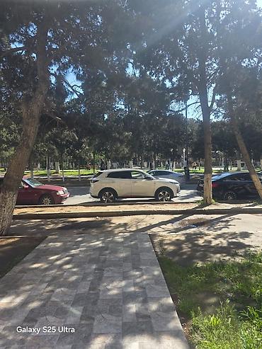 minon yumşaq oyuncaqlar: Icareye verilir 600 bu abyekt qalmıyacaq z düz Xırdalan Heydər — 3