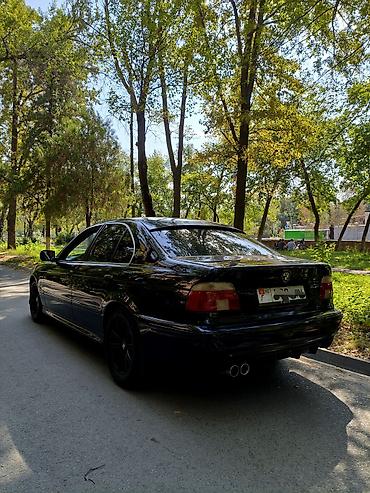 m3 e46: BMW 5 series: 2002 г., 2.5 л, Механика, Бензин, Седан — 7