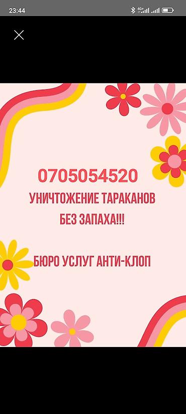 мраморные тараканы: Услуга: уничтожение тараканов без запаха. Описание: - — 1