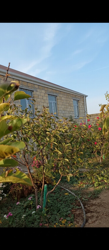 Həyət evləri və villaların satışı: 4 otaqlı, 400 kv. m, Təmirsiz -da lalafo.az — 1 Həyət evləri və villaların satışı: 4 otaqlı, 400 kv. m, Təmirsiz — 1