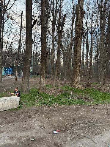 Продажа полдома: Продается пол дома район Церковь — 12