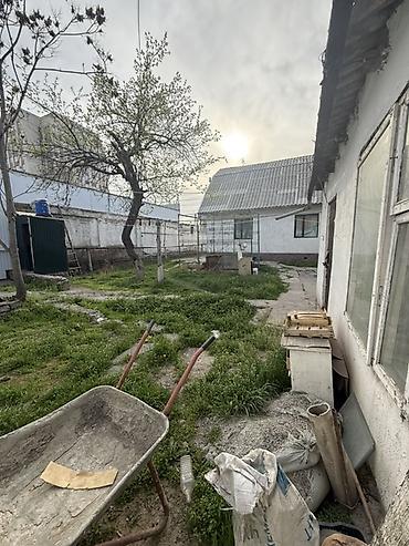 шукурова: 4 соток, Красная книга, Тех паспорт, Договор купли-продажи — 9