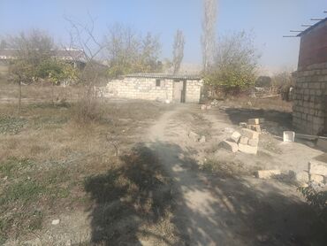 Torpaq sahələrinin satışı: Mülkiyyətçi, Kupça (Çıxarış) — 6