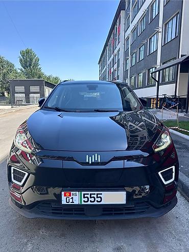 neta x: Weltmeister EX5, 2020 г. — 1