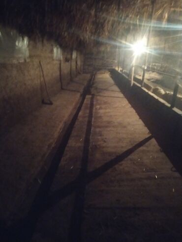 Продажа домов: Дом, 12 м², 4 комнаты, Собственник — 19