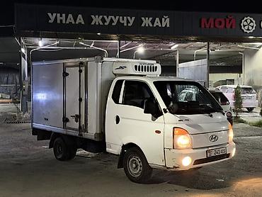 крыло одиссей: Легкий грузовик, Hyundai, Б/у — 2
