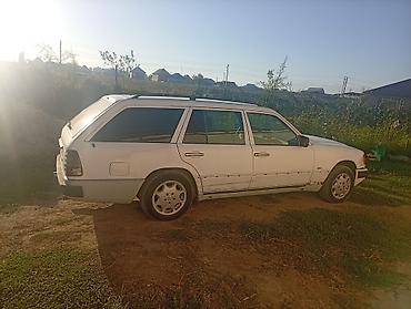 тандем мерс: Mercedes-Benz W124: 1991 г., 3 л, Механика, Дизель, Универсал — 2