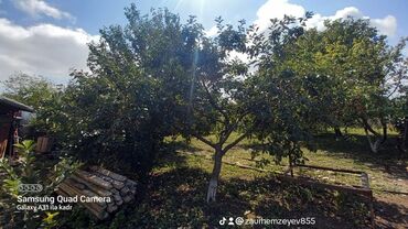 Həyət evləri və villaların satışı: 6 otaqlı, 150 kv. m, Orta təmir — 21