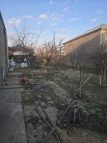 Torpaq sahələrinin satışı: 16 sot, Tikinti — 3