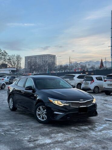 кпп степ: Kia Optima: 2017 г., 2.4 л, Автомат, Бензин, Седан