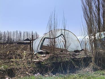 комната ак ордо: С готовой бизнес линиейсрочно, 3 фазка,погреб, скважинаплюс — 5