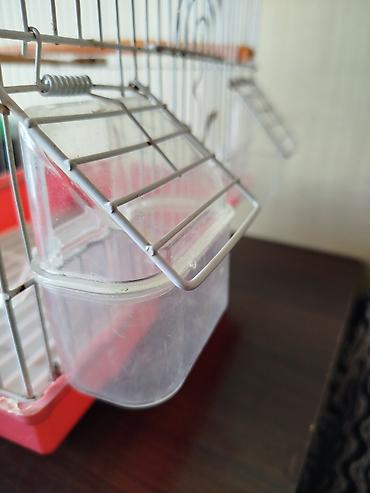 Heyvanlar: Qırmızı-ağ quş qəfəsi - Material: metal barmaqlıqlar, plastik altlıq — 6