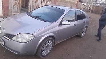 Nissan: Nissan Primera: 2005 г., 1.9 л, Механика, Дизель, Седан — 9