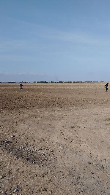 Куплю земельный участок: Продаётся хорошая поливная земля в городе карабалта возле — 6