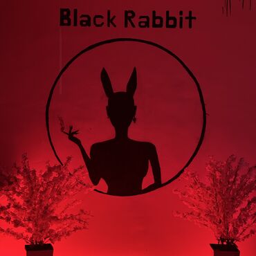 Посуточная аренда комнат: Мы Гостиница. Квартира. Посуточная. Новая. 4 комнаты. Адрес — 12