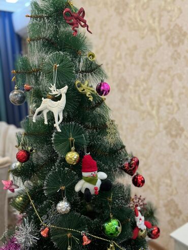 Yeni il ağacları: 1.85 hündürlüyündə şam ağacı TƏCİLİ satılır və üzərində bütün -da lalafo.az — 2 Yeni il ağacları: 1.85 hündürlüyündə şam ağacı TƏCİLİ satılır və üzərində bütün — 2