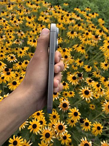 iphone 11 pro graphite: IPhone 15 pro 256гб Привозной Зарегистрирован Состояние — 4