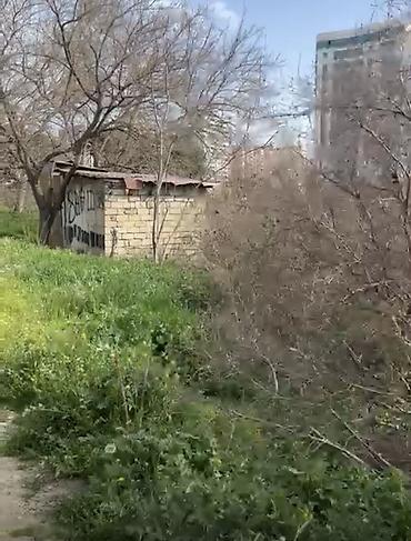 nerimanovda: 24 sot, Tikinti, Mülkiyyətçi, Kupça (Çıxarış) — 8