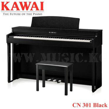 обучение пианино: Цифровое фортепиано Kawai CN301 Premium Satin Black Сочетание