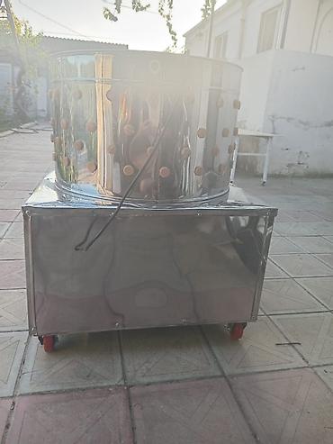 keklik: Toyuq lələkləri (tük yolma) aparatı - Kiçik və orta ölçülü quşlar — 5