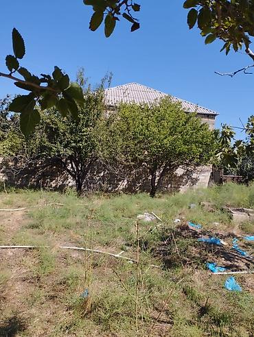 Torpaq sahələrinin satışı: 10 sot, Tikinti, Mülkiyyətçi, Kupça (Çıxarış), Bələdiyyə, Texniki pasport -da lalafo.az — 9 Torpaq sahələrinin satışı: 10 sot, Tikinti, Mülkiyyətçi, Kupça (Çıxarış), Bələdiyyə, Texniki pasport — 9