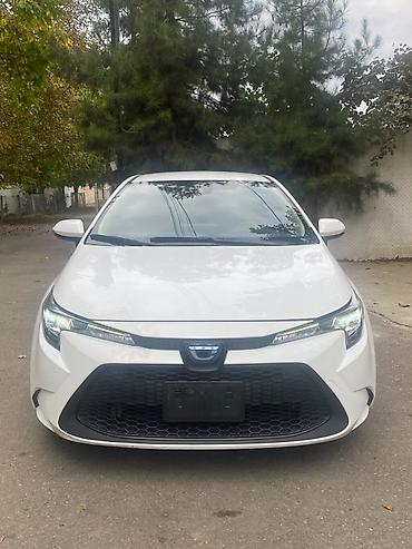 toyota bakı: Toyota Corolla Touring Sports Hybrid – ağ rəngli universal kuzov — 5