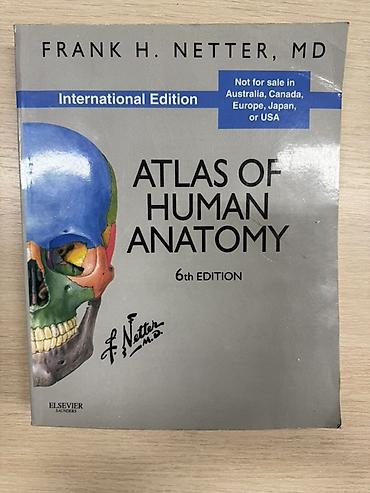 inter: Атлас анатомии человека, Frank H. Netter, MD — International Edition — 1