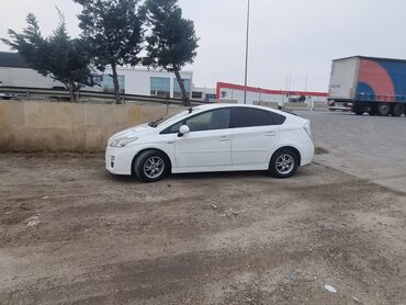 Toyota: Toyota Prius: 1.8 l | 2010 il Hetçbek — 5