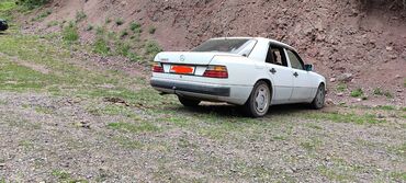 Mercedes-Benz: Mercedes-Benz W124: 1990 г., 2.3 л, Механика, Бензин, Седан