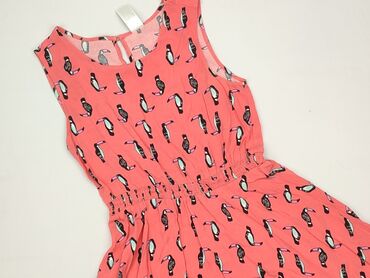 spodnie esperanto hurt: Dress, C&A, 12 years, 146-152 cm, condition - Perfect