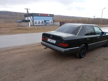 Mercedes-Benz: Mercedes-Benz 220: 1989 г., 2.3 л, Механика, Бензин, Седан