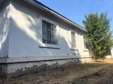 Kirayə torpaq sahələri: 13 sot İşıq — 28