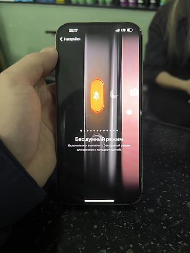 Apple iPhone: IPhone 16 Pro Max, Б/у, 256 ГБ, White Titanium, Кабель, 100 % — 9