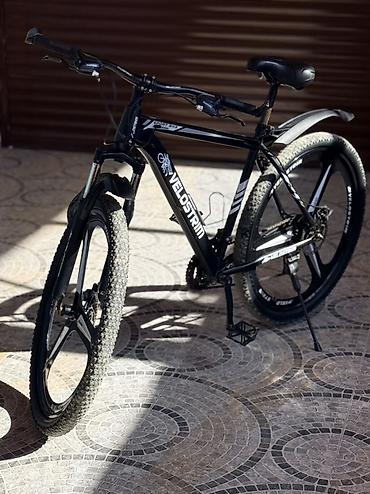 velosbet 24: Velostrim dağ velosipedi - Güclü alüminium ərintili çərçivə, düz (MTB — 3