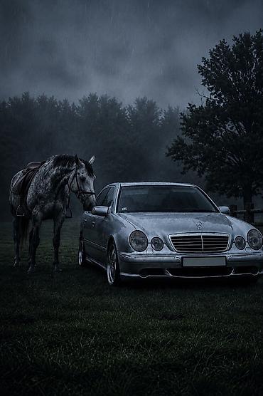 mersedes g class: Mercedes-Benz G-Class: 2011 г., Внедорожник — 4