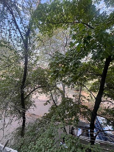 Продажа квартир: 2 комнаты, 45 м², Индивидуалка, 3 этаж, Старый ремонт at lalafo.kg — 8 Продажа квартир: 2 комнаты, 45 м², Индивидуалка, 3 этаж, Старый ремонт — 8