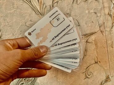вип бишкнк в Кыргызстан | SIM-карты: Акция акция 🔊 Корпоратив Beeline сим карталар сатылат. Айына 300с