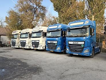 volvo ref: Тягач, DAF, 2020 г., Без прицепа — 3