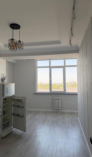 5: 2 комнаты, 65 м², Ата-Тюрк парк Элитка, 5 этаж, Евроремонт — 6