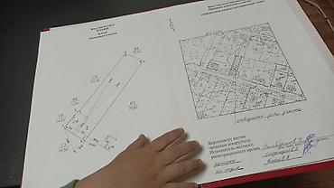 сосед: 1 соток, Для строительства, Красная книга — 1