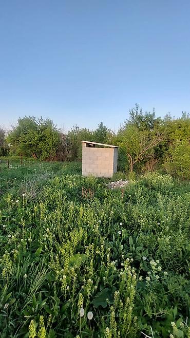 premium development: 120 соток, Для сельского хозяйства, Договор купли-продажи — 3