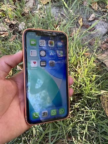 IPhone Xr, Б/у, 64 ГБ, Оранжевый, 100 %