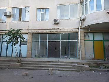 demir qapi islenmis: Demir qapi ṣiverler 160 sm 212sm tecili satlir — 4