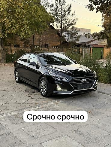 sonata 2012: Hyundai Sonata: 2019 г., 2 л, Автомат, Бензин, Седан — 1