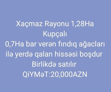 Torpaq sahələrinin satışı: 1280 sot, Kənd təsərrüfatı, Mülkiyyətçi, Kupça (Çıxarış)