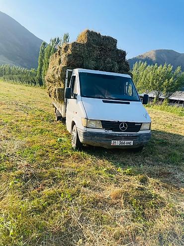fh 500: Mercedes-Benz Sprinter 408D платформа/борт - Тип: малотоннажный — 3
